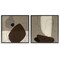 Stupell Industries Brown Hidden Lines 2 pc Framed Giclee Wall Art Set Design by Patricia Pinto